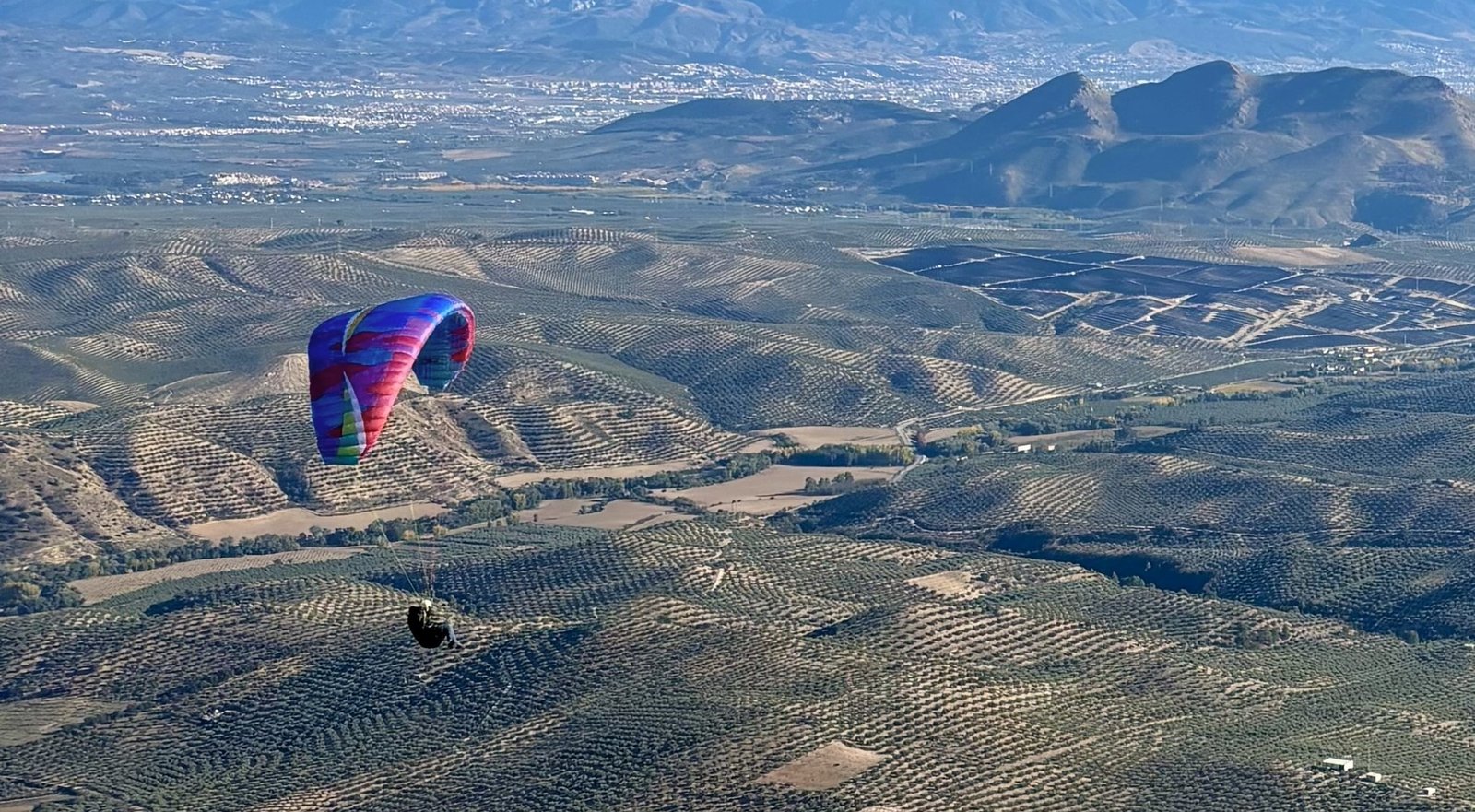 Parapente en vol au-dessus des oliveraies andalouses, avec un village blanc au loin